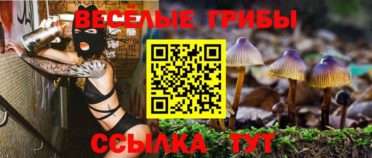 Псилоцибиновые грибы мицелий  Вход с VPN  Галлюциногенные грибы Cubensis  закладки  Орёл 